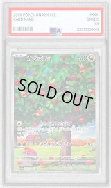 〔PSA10鑑定済〕カジッチュ【AR】{077/066}