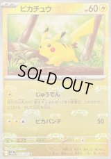 〔状態A-〕ピカチュウ(マスターボールミラー)【C】{025/165}