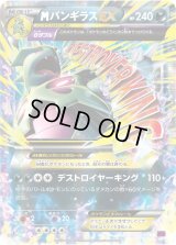 MバンギラスEX【RR】{043/081}