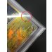 画像9: 〔※状態難/PSA10鑑定済〕ピカチュウ(20thアニバーサリー)【P】{XY-P}