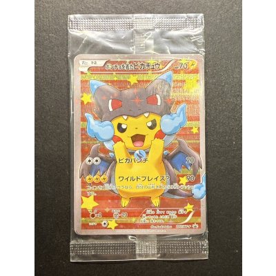 画像2: ポンチョを着たピカチュウ(未開封)【P】{207/XY-P}