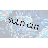 〔状態A-〕プレイマット『海外/テラパゴス(無印/REGIONALロゴ)※』【サプライ】{-}