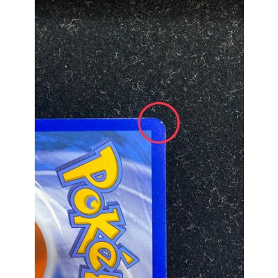 画像12: 〔状態A-〕パラダイスリゾート(2025/STAFF)【P】{SV-P}