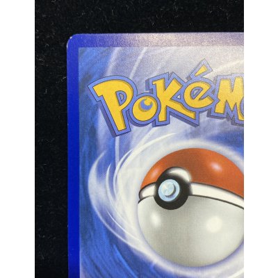 画像8: 〔状態A-〕パラダイスリゾート(2025/STAFF)【P】{SV-P}