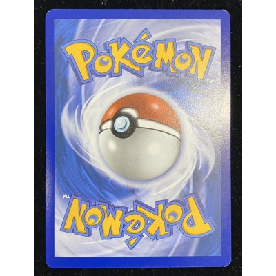 画像3: 〔状態A-〕パラダイスリゾート(2025/STAFF)【P】{SV-P}