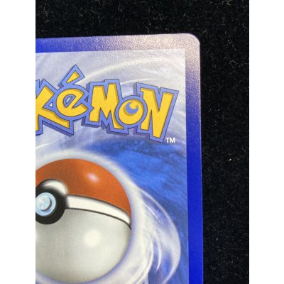 画像9: 〔状態A-〕パラダイスリゾート(2025/STAFF)【P】{SV-P}