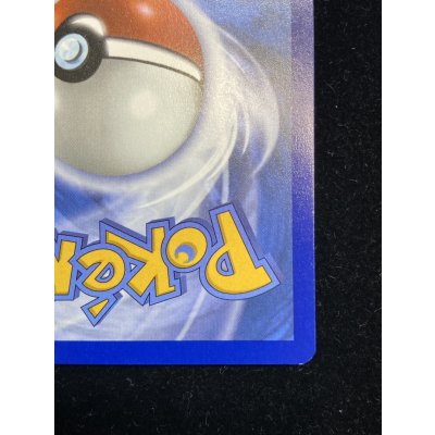 画像11: 〔状態A-〕パラダイスリゾート(2025/STAFF)【P】{SV-P}