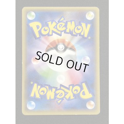 画像5: 〔状態C〕ポンチョを着たピカチュウ【P】{230/XY-P}