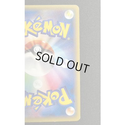 画像10: 〔状態C〕ポンチョを着たピカチュウ【P】{230/XY-P}