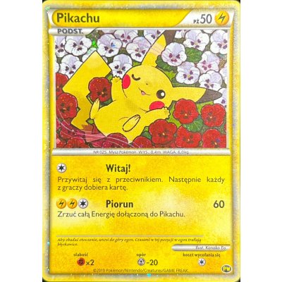 〔状態B〕ピカチュウ(ポーランド)【-】{PW}