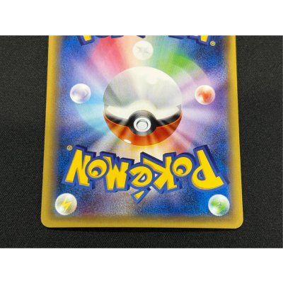 画像7: ポンチョを着たピカチュウ【P】{230/XY-P}