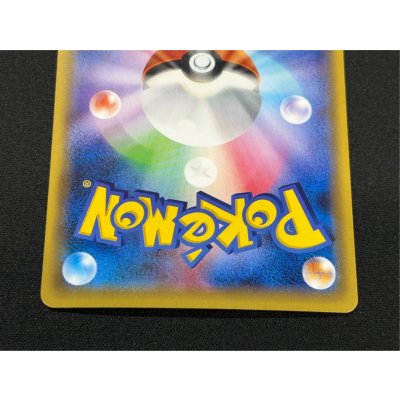 画像6: ポンチョを着たピカチュウ【P】{230/XY-P}