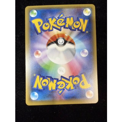 画像8: 〔状態A-〕ポンチョを着たピカチュウ【P】{230/XY-P}