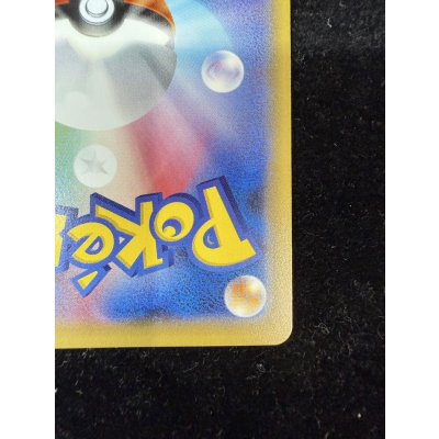 画像12: 〔状態A-〕ポンチョを着たピカチュウ【P】{230/XY-P}