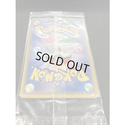 画像7: ポンチョを着たピカチュウ(未開封)【P】{208/XY-P}