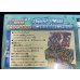 画像15: 〔状態A-〕スペシャルBOX『メガリザードンXのポンチョを着たピカチュウ』【未開封BOX】{-}