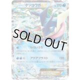 〔状態C〕ゲッコウガEX【P】{021/XY-P}