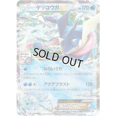 画像1: 〔状態C〕ゲッコウガEX【P】{021/XY-P}