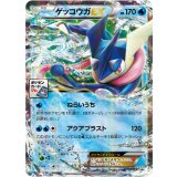 〔状態A-〕ゲッコウガEX【P】{021/XY-P}