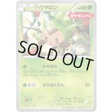 〔状態A-〕ハリマロン【P】{148/XY-P}