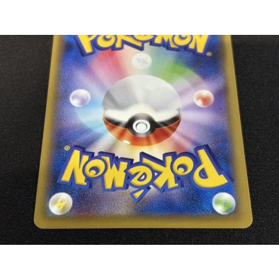 画像6: 〔状態B〕ポンチョを着たピカチュウ【P】{275/XY-P}