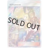 アローラの仲間たち(中国語版)【P】{081/S-P}