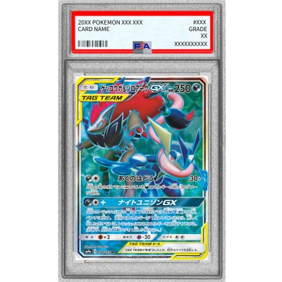 画像1: 〔※状態難/PSA10鑑定済〕ゲッコウガ＆ゾロアークGX【SR】{058/055}