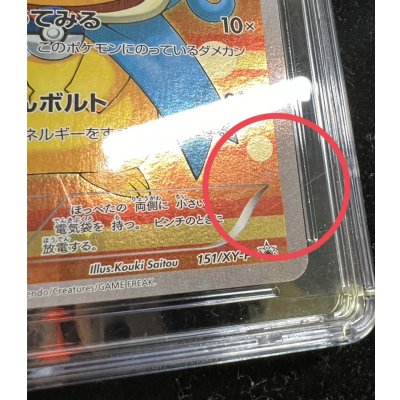 画像9: 〔※状態難/CGC10鑑定済〕ギャラドスごっこピカチュウ【P】{151/XY-P}