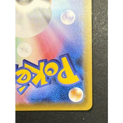 画像11: 〔状態A-〕レックウザVMAX(SA)【HR】{083/067}