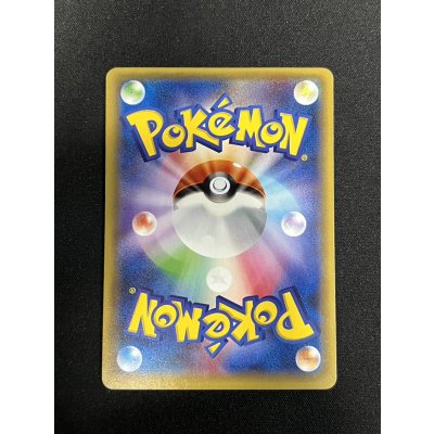 画像5: ポンチョを着たピカチュウ【P】{231/XY-P}