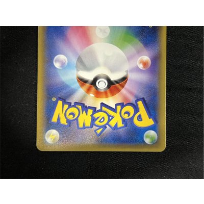 画像7: ポンチョを着たピカチュウ【P】{231/XY-P}