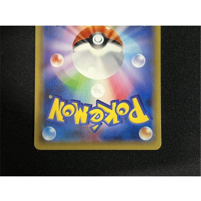 画像6: ポンチョを着たピカチュウ【P】{231/XY-P}