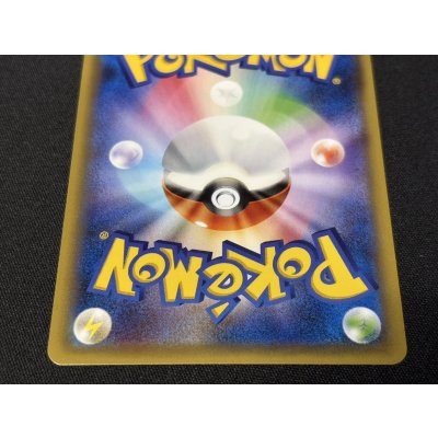 画像6: 〔状態A-〕ポンチョを着たピカチュウ【P】{231/XY-P}