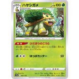 〔状態A-〕ハヤシガメ【-】{007/172}