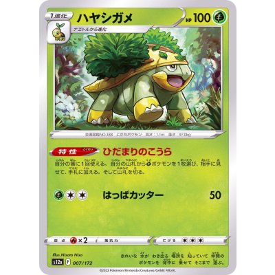 画像1: 〔状態A-〕ハヤシガメ【-】{007/172}