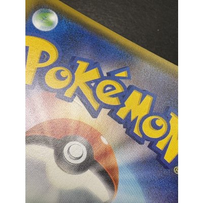 画像14: アローラの仲間たち(SR仕様)【P】{401/SM-P}