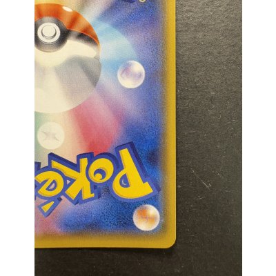 画像11: アローラの仲間たち(SR仕様)【P】{401/SM-P}