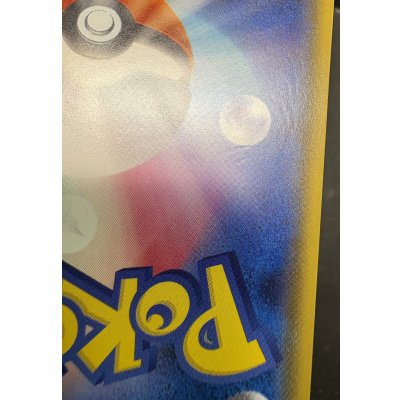 画像13: アローラの仲間たち(SR仕様)【P】{401/SM-P}