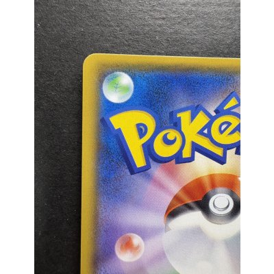 画像8: アローラの仲間たち(SR仕様)【P】{401/SM-P}