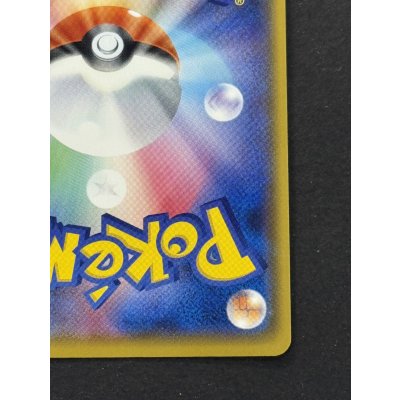 画像11: 〔状態A-〕アローラの仲間たち(SR仕様)【P】{401/SM-P}