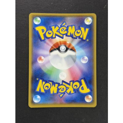 画像7: 〔状態A-〕アローラの仲間たち(SR仕様)【P】{401/SM-P}