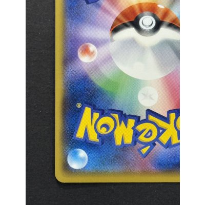 画像10: 〔状態A-〕アローラの仲間たち(SR仕様)【P】{401/SM-P}