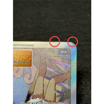 画像13: 〔状態A-〕アローラの仲間たち(SR仕様)【P】{401/SM-P}