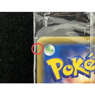 画像11: 〔状態A-〕ポンチョを着たピカチュウ(未開封)【P】{037/SM-P}