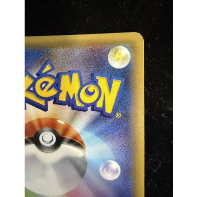 画像14: 〔状態B〕ポンチョを着たピカチュウ【P】{231/XY-P}