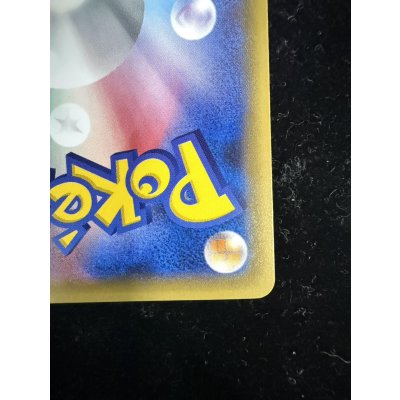 画像16: 〔状態B〕ポンチョを着たピカチュウ【P】{231/XY-P}