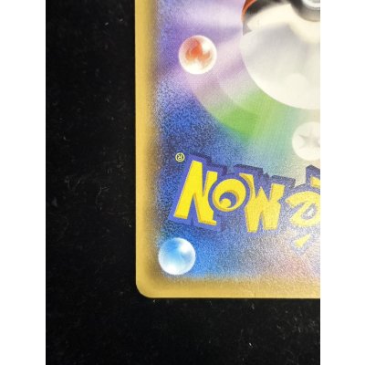 画像15: 〔状態B〕ポンチョを着たピカチュウ【P】{231/XY-P}