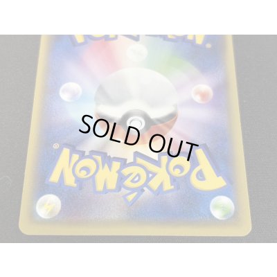 画像6: 〔状態B〕ポンチョを着たピカチュウ【P】{207/XY-P}