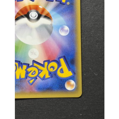 画像11: 〔状態A-〕ポンチョを着たピカチュウ【P】{231/XY-P}