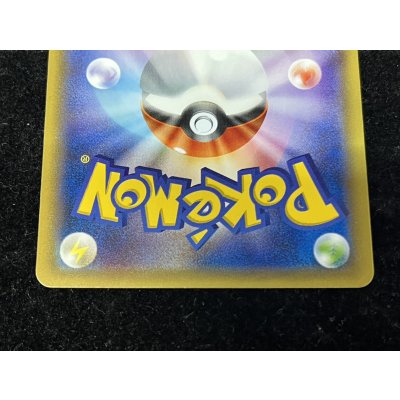 画像7: ポンチョを着たピカチュウ【P】{230/XY-P}